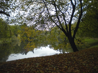 Herbst im Park