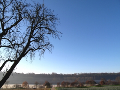 Im Nebel ruhet noch die Welt - III