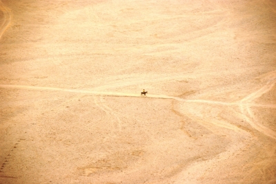 Einsamer Reiter in der Wüste.....