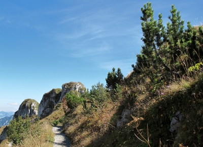 Wandern auf dem Rocher-de-Naye