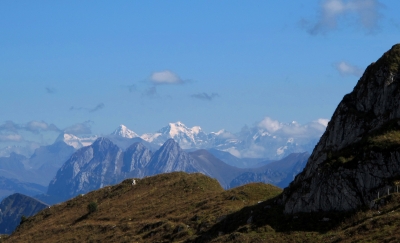 Wandern auf dem Rocher-de-Naye 4