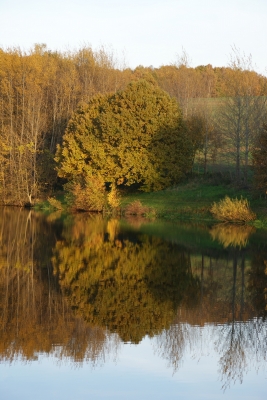 Herbstspiegelung