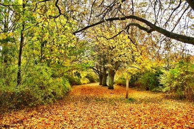 stralsund herbstbild