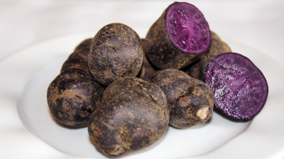 Trüffel Kartoffel / Violette Kartoffel