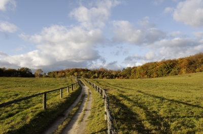 Herbstweg