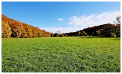 Wiese im Herbst