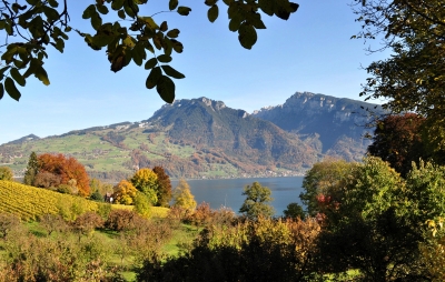 Herbstfarben am Thunersee