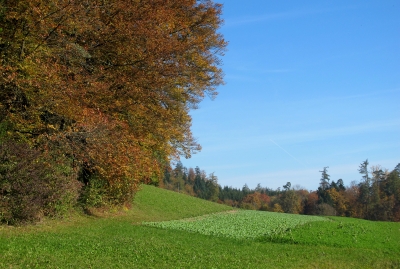 Felder und Wälder am Jura-Südfuss