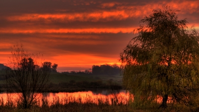 Morgenrot am Vogelteich