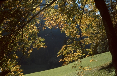 Goldener Herbst im Berchtesgadener Land