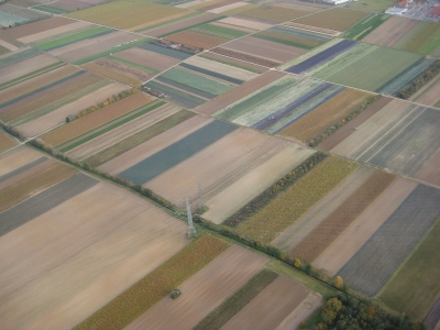 Felder und Wiesen aus der Luft betrachtet