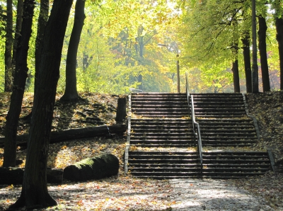 Treppe im Park