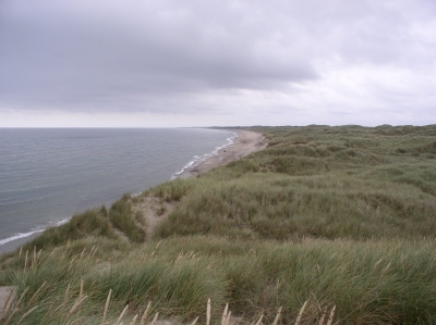 Einsamer dänischer Strand