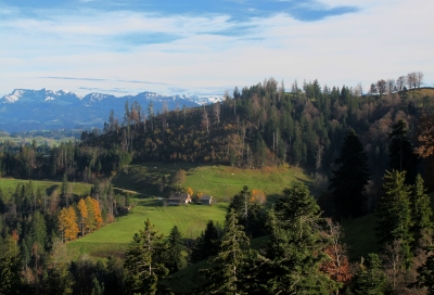 Landwirtschaft im Hügelland