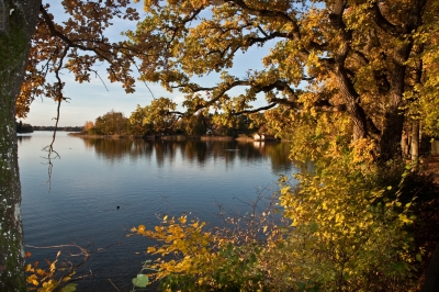 Goldener Herbst am Staffelsee