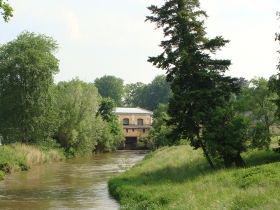 Oder an der Grenze zu Polen