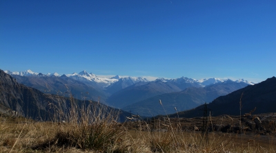 Die Walliser Alpen im Panorama
