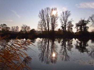 tiefstehende sonne am see