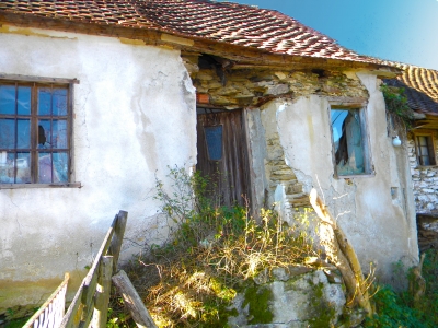 ruine am waldrand