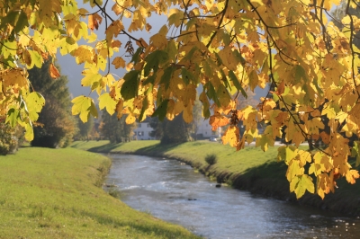 Herbstliche Ammer