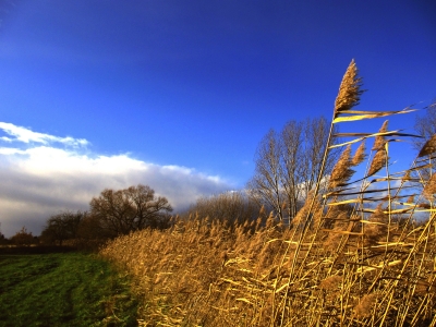 sonniger november