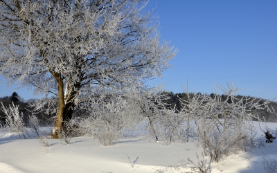 so schön kann Winter aussehen