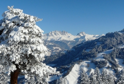 Tief verschneites Prättigau (Schweiz)