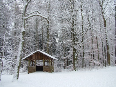 Winterwald mit Hütte