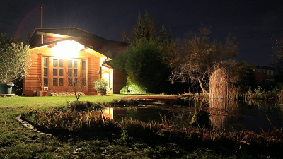 Teich bei Nacht 1