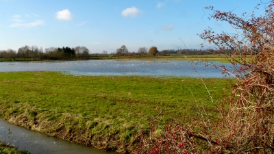 Überschwemmte Wiese bei Beschendorf