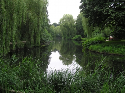 Diese Ruhe mitten in Hamburg