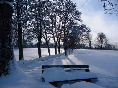 Parkbank im Schnee