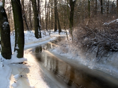 Eis am Schwarzwasser