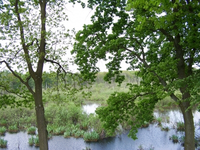 Am Rhein Herne Kanal