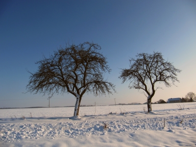 frostige zeiten