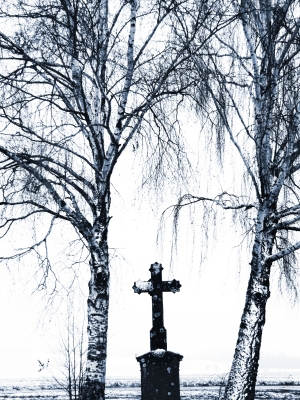 Gedenk-Kreuz mit Birken im November