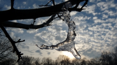 Eisgebilde im Gegenlicht