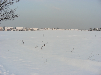 eingeschneites Heßdorf