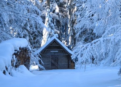 Die Hütte im Winterwald