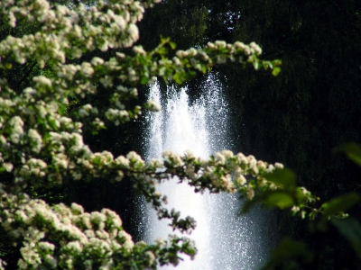 Springbrunnen 2