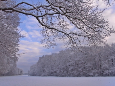 winterwald