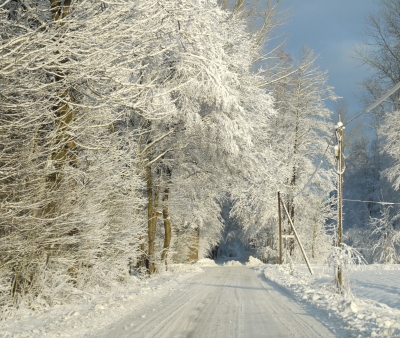 Auf in den Winterwald