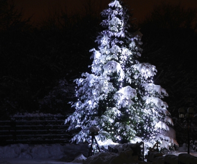 AM WEIHNACHTSBAUME DIE LICHTER BRENNEN