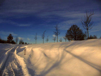 vom schnee befreit....