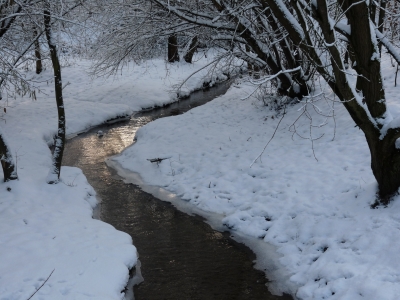 Winter im Ruhrgebiet 3