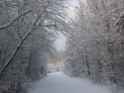 Winter im Ruhrgebiet 4