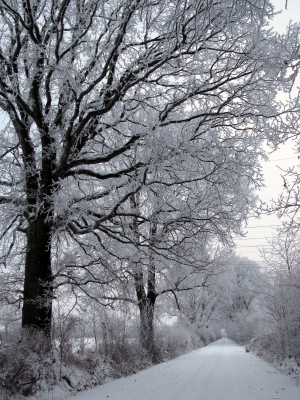 Winterweg!