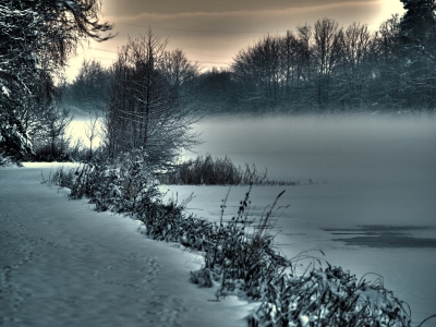 Winter am See in der Senne