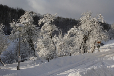 Schnee - von seiner schönsten Seite