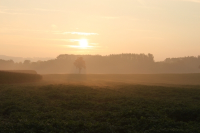 Morgenluft